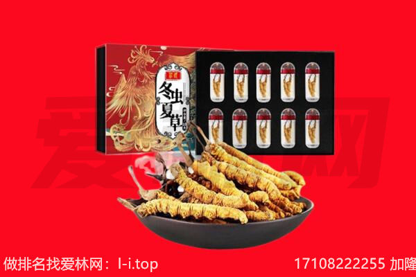 普洱市景东回收虫草.jpg